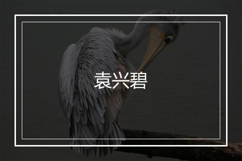 袁兴碧