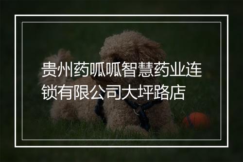 贵州药呱呱智慧药业连锁有限公司大坪路店