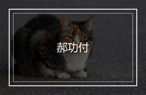 郝功付