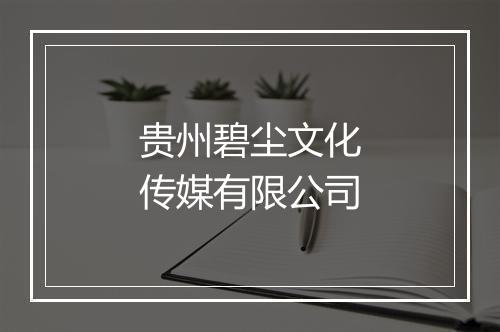 贵州碧尘文化传媒有限公司