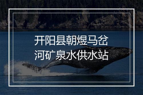 开阳县朝煜马岔河矿泉水供水站