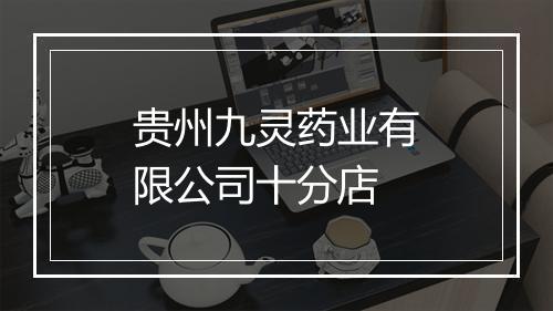 贵州九灵药业有限公司十分店