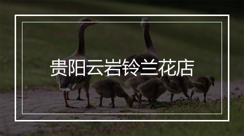 贵阳云岩铃兰花店