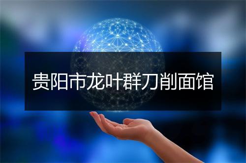 贵阳市龙叶群刀削面馆