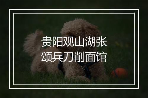 贵阳观山湖张颂兵刀削面馆