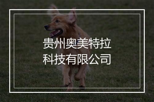 贵州奥美特拉科技有限公司