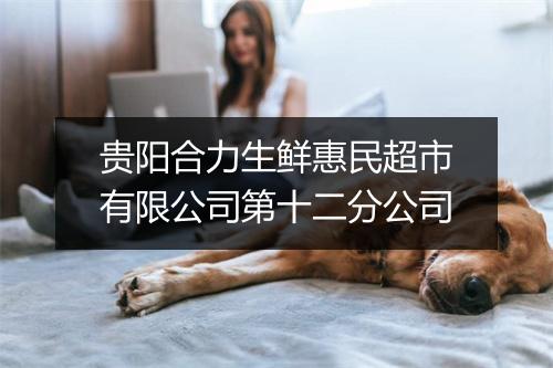 贵阳合力生鲜惠民超市有限公司第十二分公司