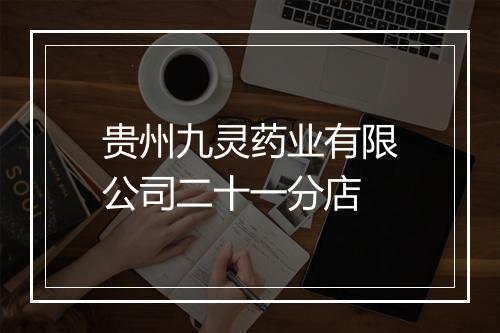 贵州九灵药业有限公司二十一分店