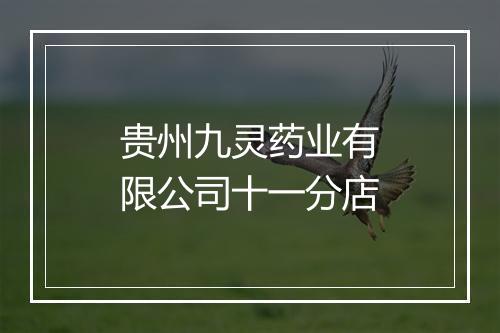 贵州九灵药业有限公司十一分店