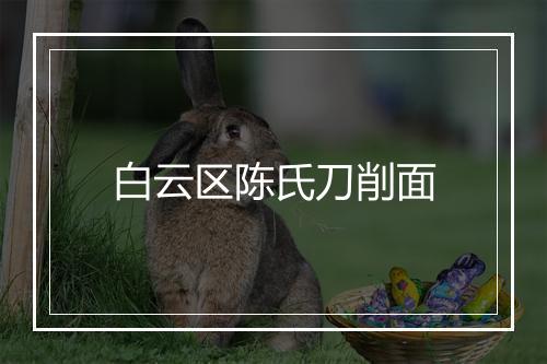 白云区陈氏刀削面