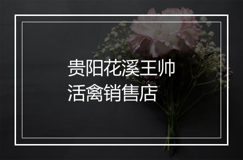 贵阳花溪王帅活禽销售店