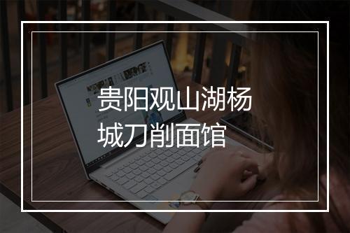 贵阳观山湖杨城刀削面馆