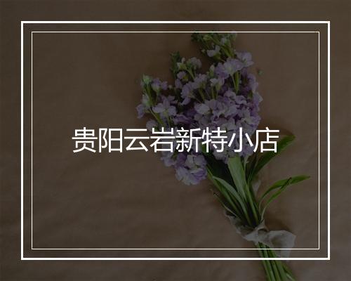 贵阳云岩新特小店