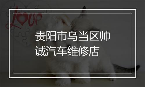 贵阳市乌当区帅诚汽车维修店