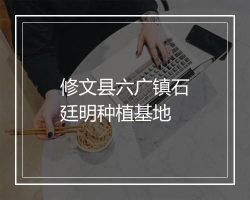 修文县六广镇石廷明种植基地