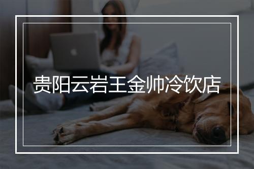 贵阳云岩王金帅冷饮店