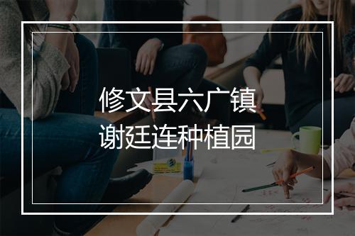 修文县六广镇谢廷连种植园