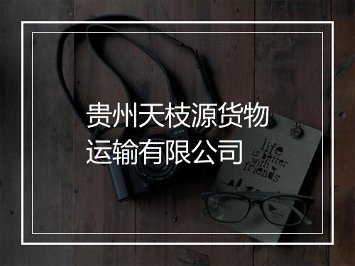 贵州天枝源货物运输有限公司