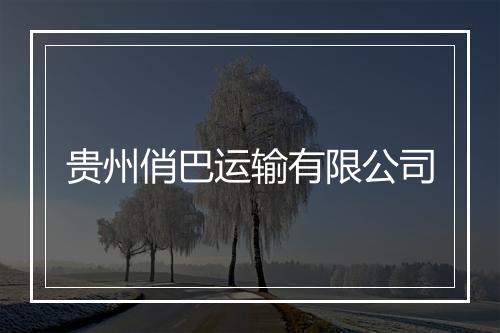贵州俏巴运输有限公司
