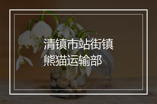 清镇市站街镇熊猫运输部