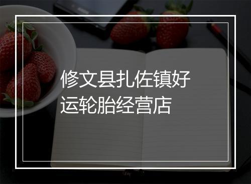 修文县扎佐镇好运轮胎经营店