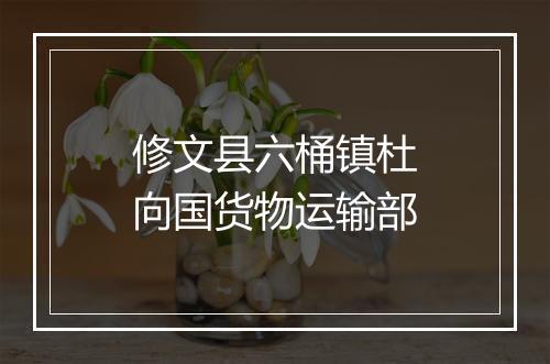 修文县六桶镇杜向国货物运输部