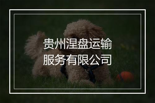 贵州涅盘运输服务有限公司