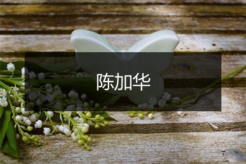 陈加华