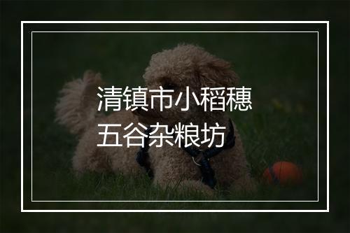 清镇市小稻穗五谷杂粮坊