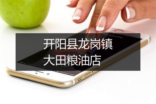 开阳县龙岗镇大田粮油店