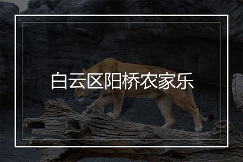 白云区阳桥农家乐