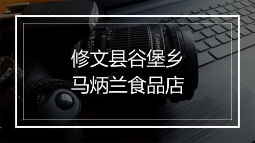 修文县谷堡乡马炳兰食品店