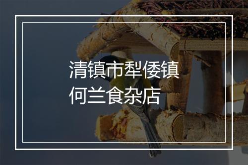 清镇市犁倭镇何兰食杂店