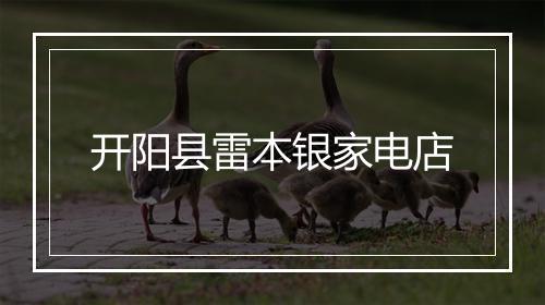 开阳县雷本银家电店