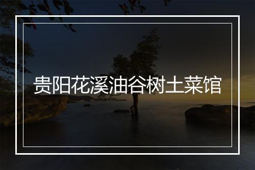 贵阳花溪油谷树土菜馆