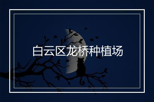 白云区龙桥种植场