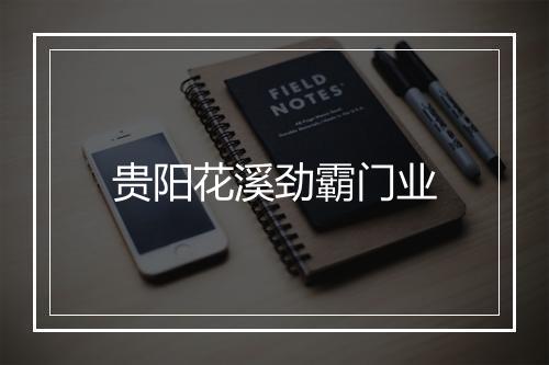 贵阳花溪劲霸门业