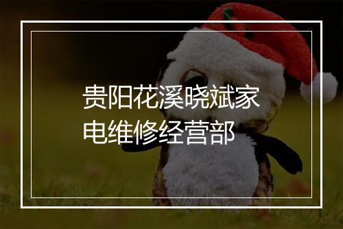 贵阳花溪晓斌家电维修经营部
