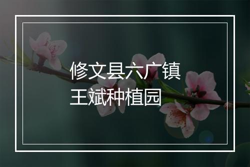 修文县六广镇王斌种植园