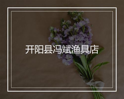开阳县冯斌渔具店