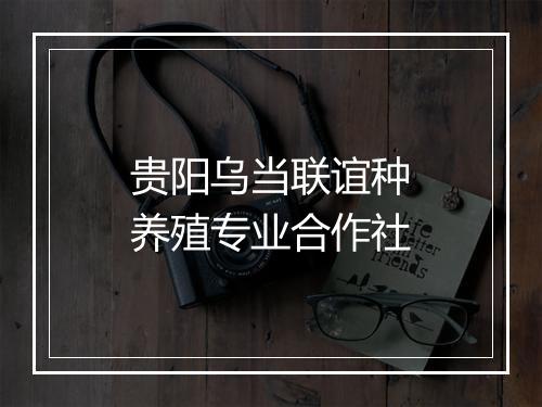 贵阳乌当联谊种养殖专业合作社