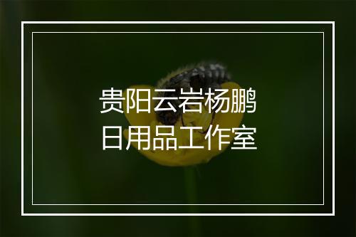 贵阳云岩杨鹏日用品工作室