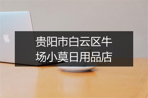 贵阳市白云区牛场小莫日用品店