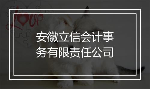 安徽立信会计事务有限责任公司