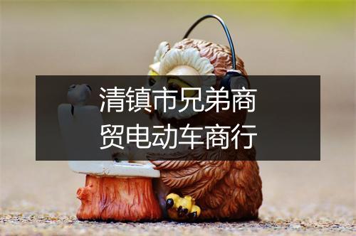 清镇市兄弟商贸电动车商行