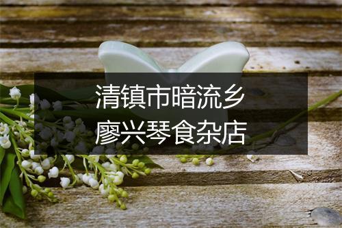 清镇市暗流乡廖兴琴食杂店