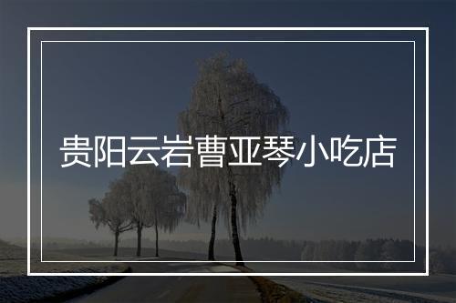 贵阳云岩曹亚琴小吃店
