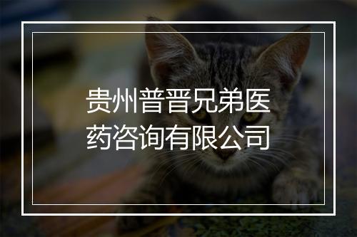 贵州普晋兄弟医药咨询有限公司