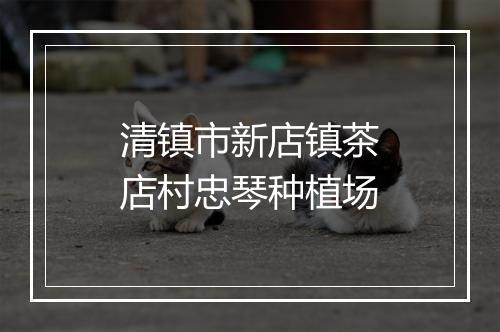 清镇市新店镇茶店村忠琴种植场