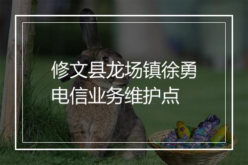修文县龙场镇徐勇电信业务维护点